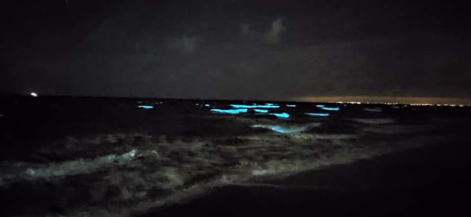 В Одесі море змінило колір, а вночі світиться: названа причина феномену