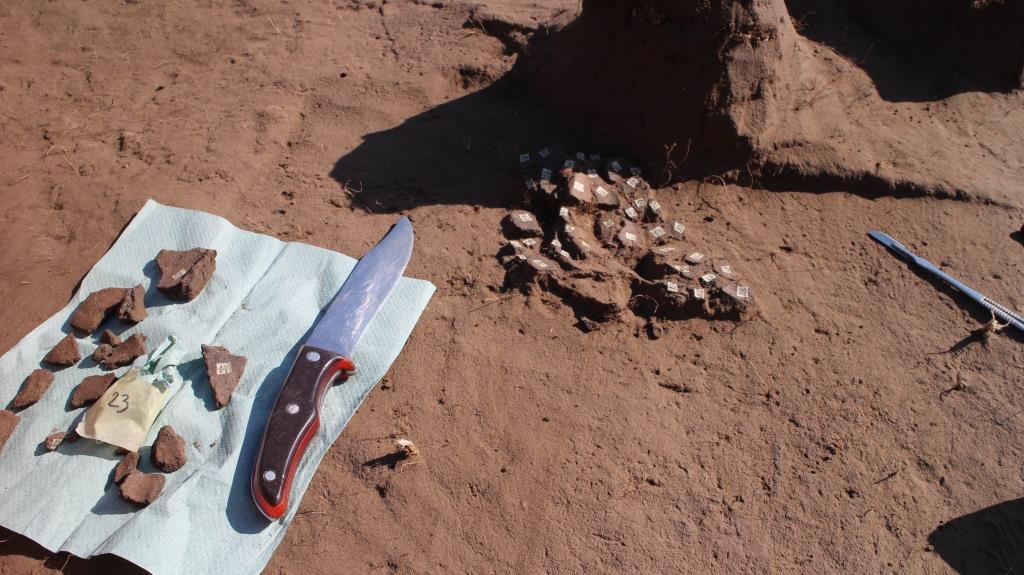 На Хортице обнаружили уникальное  захоронение скифского воина: фото и видео раскопок