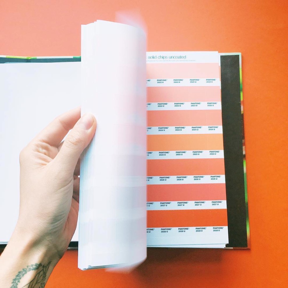 Как Pantone выбирает главный цвет года: тайна раскрыта