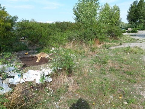 В Киеве возле Днепра поселились странные люди: киевляне боятся за детей