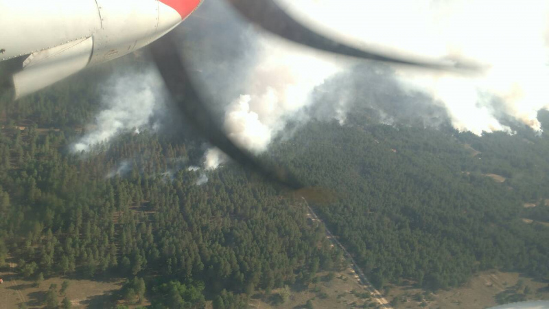 Пожар в Херсонской области охватил уже 580 гектаров леса