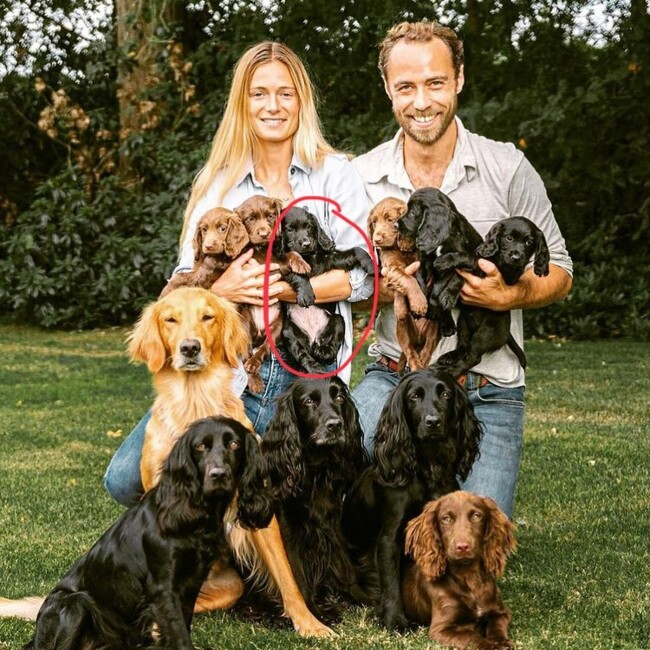 В семье Кейт Миддлтон и принца Уильяма пополнение: появилось милое фото