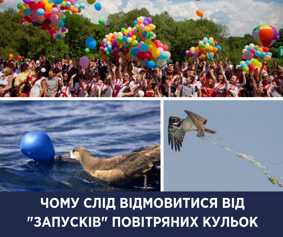 Вбивають птахів і засмічують планету: Супрун закликала відмовитися від повітряних кульок