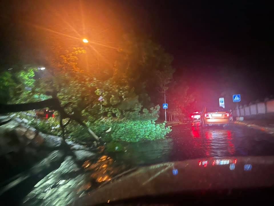 Во Львове пронесся страшный ураган: двое людей погибли на месте