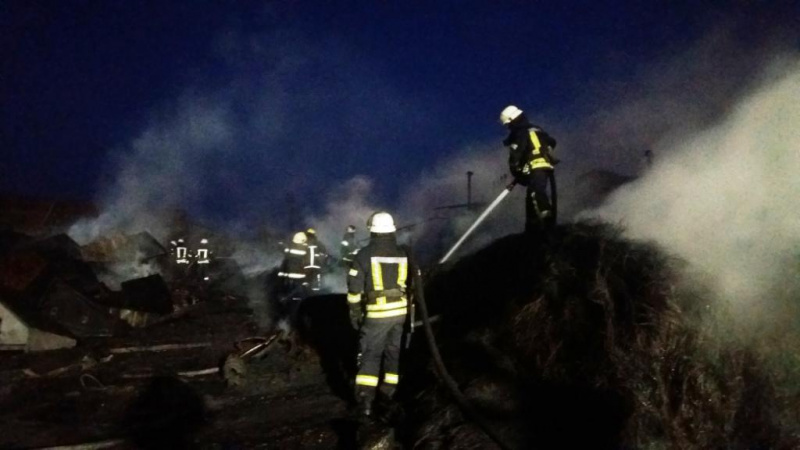 У Запоріжжі на підприємстві по переробці гуми горіли шини