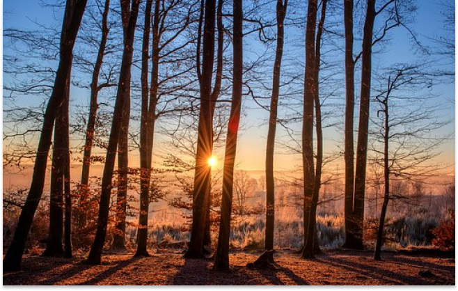 Погода на Благовещение 7 апреля: дожди могут испортить планы