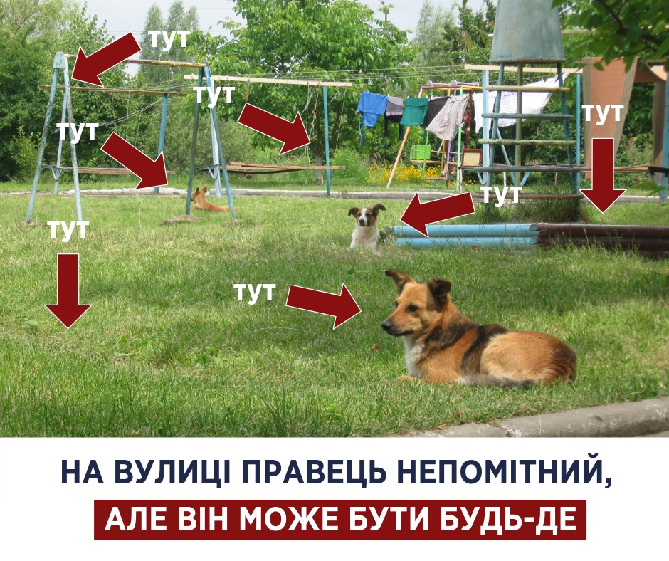 Вакцинуватися треба всім: Супрун розповіла про жахи зараження правцем