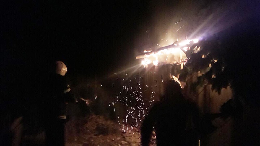 Не чекав пожежних: під Миколаєвом чоловік виніс із вогню двох дівчаток (фото)