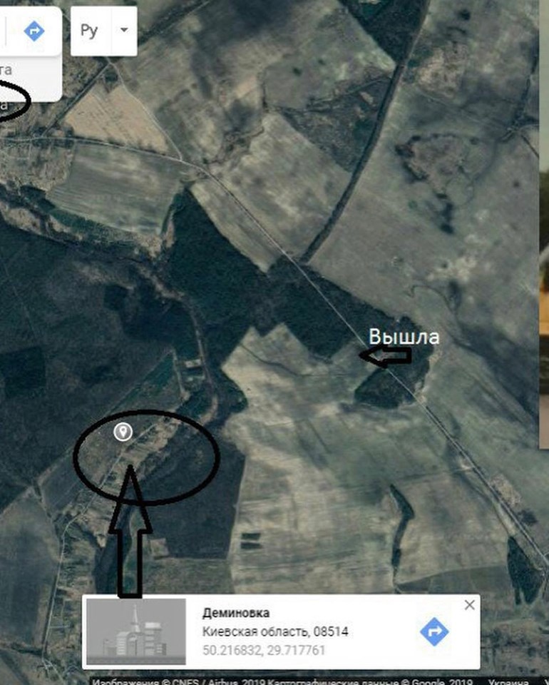 Вбивство співробітниці Ради під Києвом: нові подробиці жахливого злочину