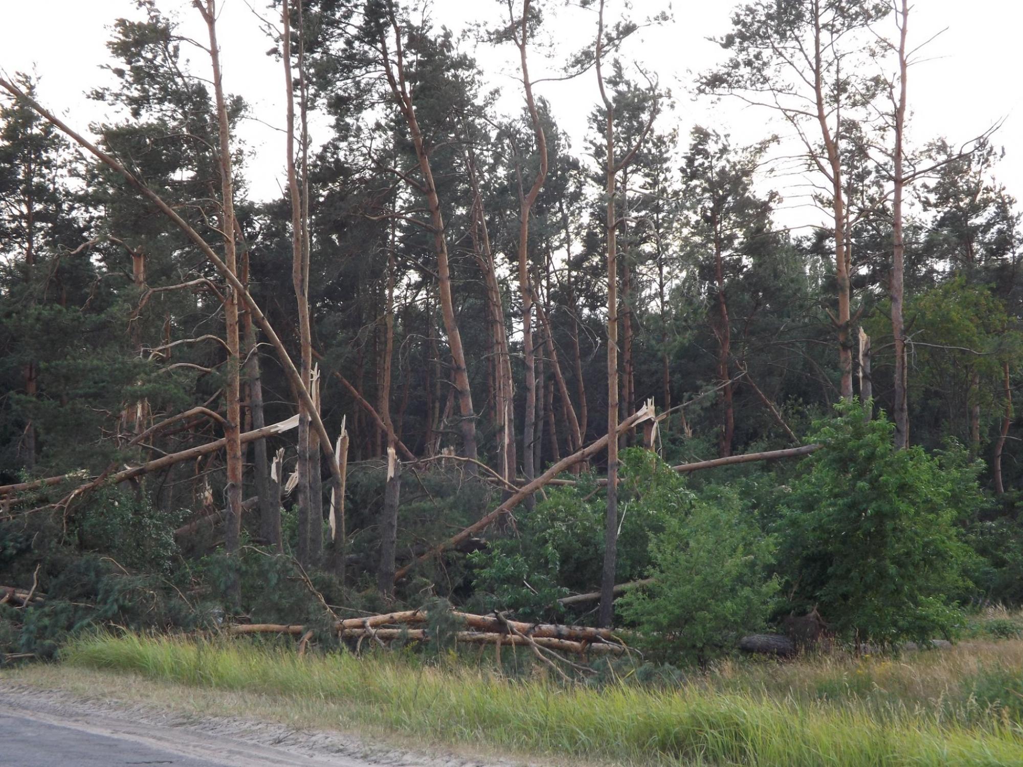 Снесло крышу школы: страшная песчаная буря наделала беды под Ровно (фото)