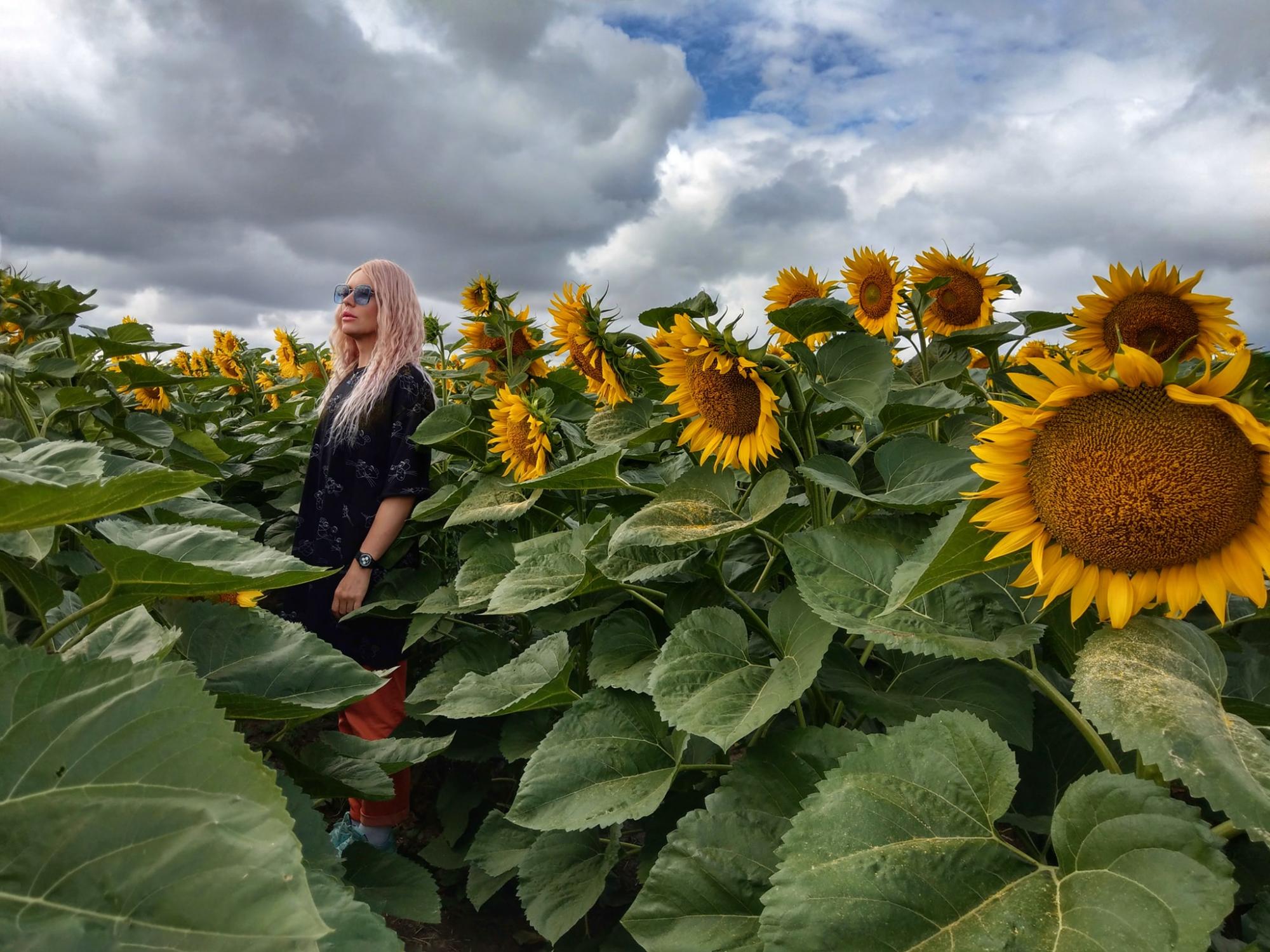 Травесті-діва Монро влаштувала яскраву фотосесію серед соняшників