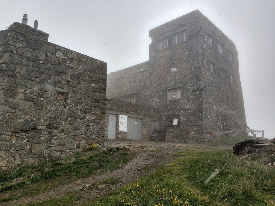 Зима не за горами: липневий сніг в Карпатах вразив українців (фото)