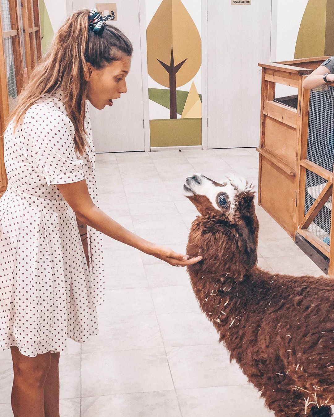 Регіна Тодоренко в несподіваній компанії спантеличила мережу творчим завданням