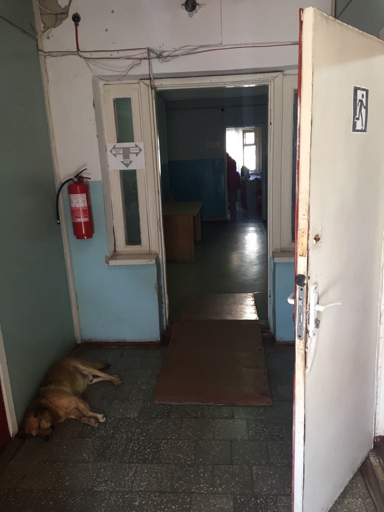 Как изменилась больница в Борисполе, которую проверял президент (фото)