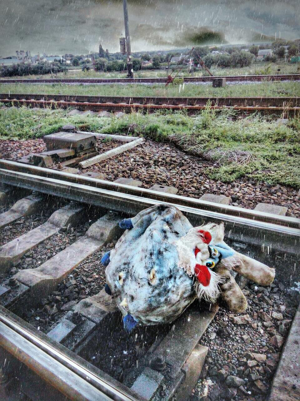 Поезд Интерсити остановили из-за неудачной шутки: все подробности