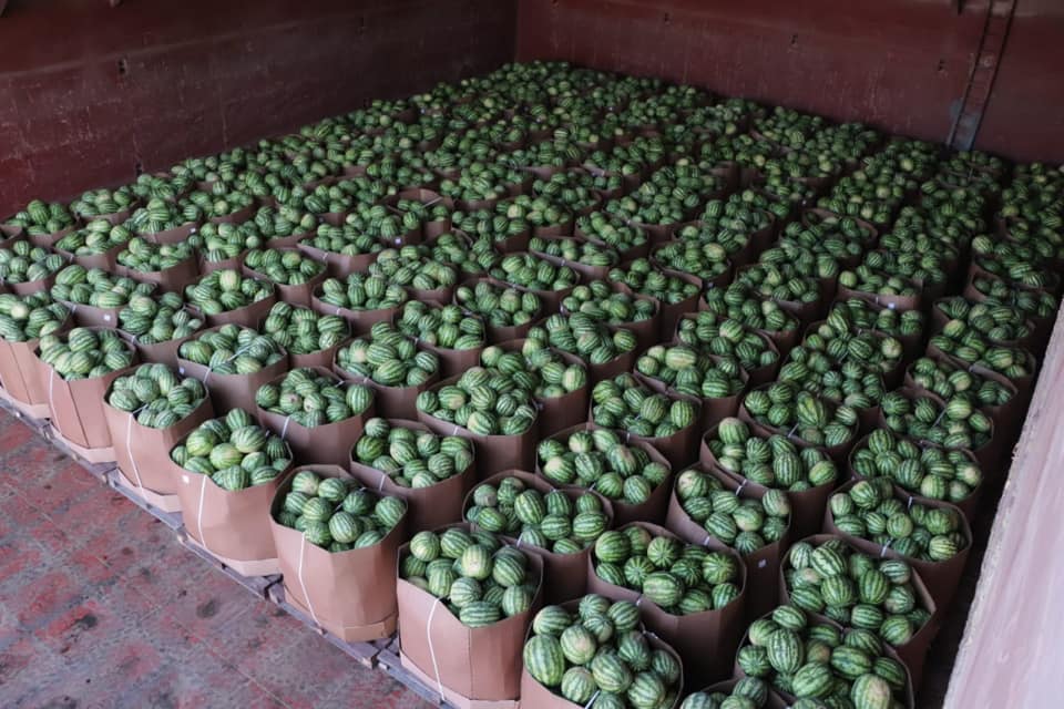 В Киев плывут арбузы: появились &quot;вкусные&quot; фото