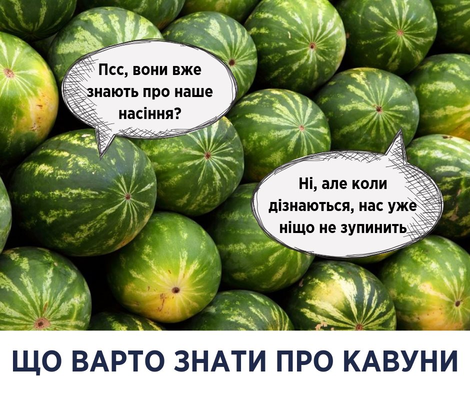 Дело не в нитратах: Супрун рассказала всю правду об арбузах
