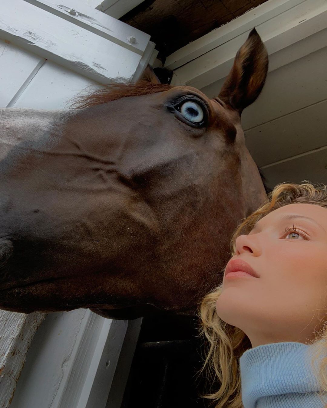 Спокуслива наїзниця: напівгола Белла Хадід блищить в новій зйомці для відомого глянцю