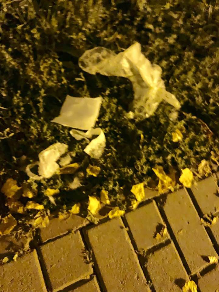 Під будівлею ГПУ в Києві влаштували &quot;гадючник&quot;: у мережу потрапили фото