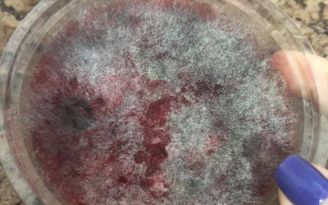 Українка купила в супермаркеті ласощі: всередині вона виявила огидний сюрприз