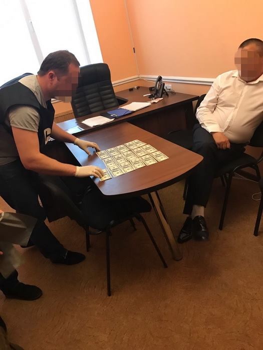 СБУ задержала депутата райсовета на подкупе за прикрытие нелегальной добычи янтаря