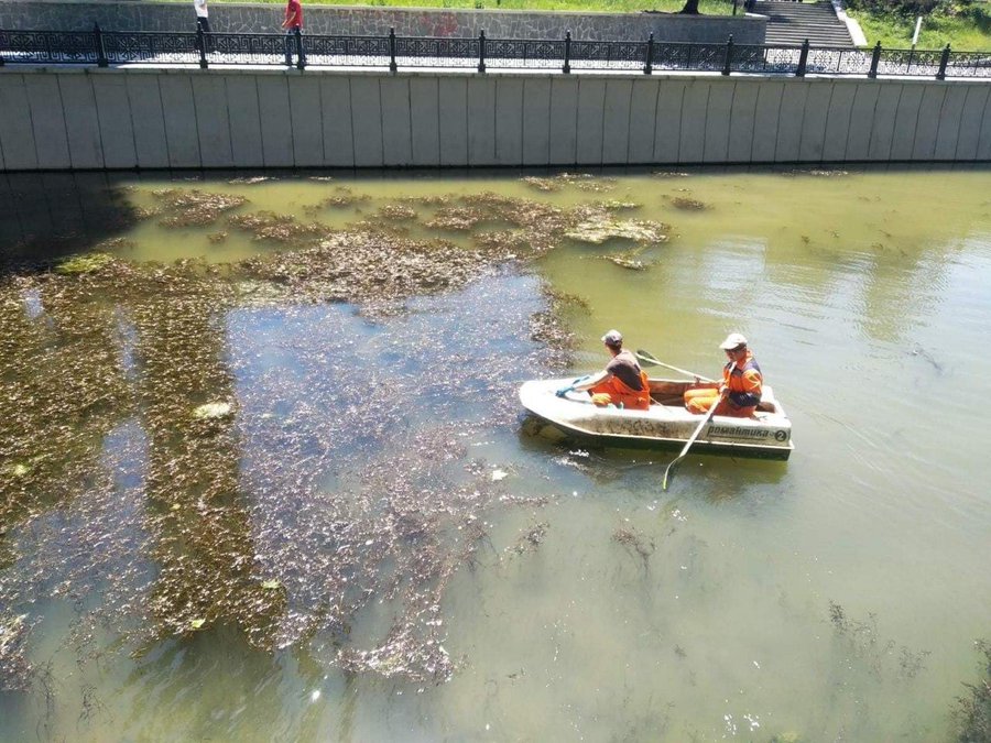 Пляжи пустые, а цены взлетели: появились фото проваленного "сезона" в Крыму