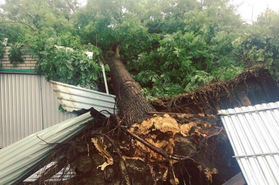 Зривав дахи з будинків: фото страшних наслідків урагану під Одесою
