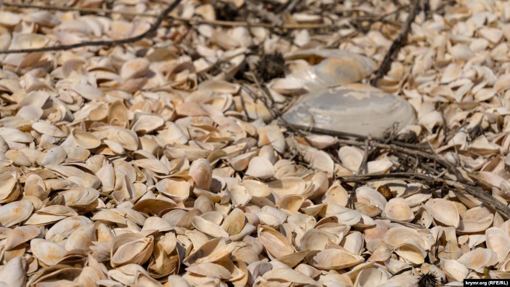 Колись була вода: з'явилися моторошні фото екологічної катастрофи в Криму