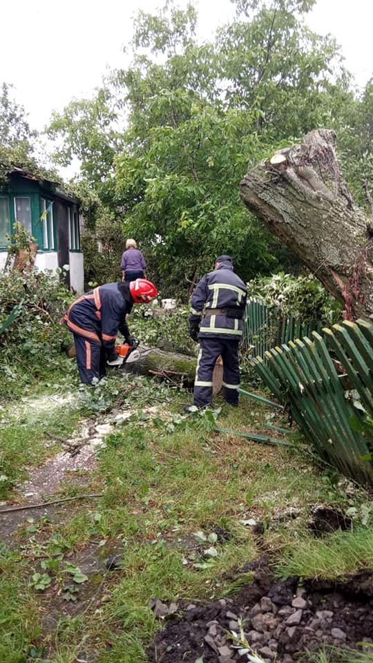 Повалені дерева і затоплені вулиці: під Рівним розбушувалася негода