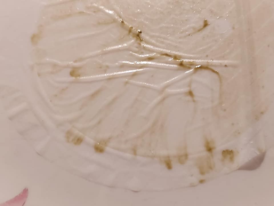 На популярному українському курорті після дощів "зацвіло" море: екологи б'ють на сполох (фото)