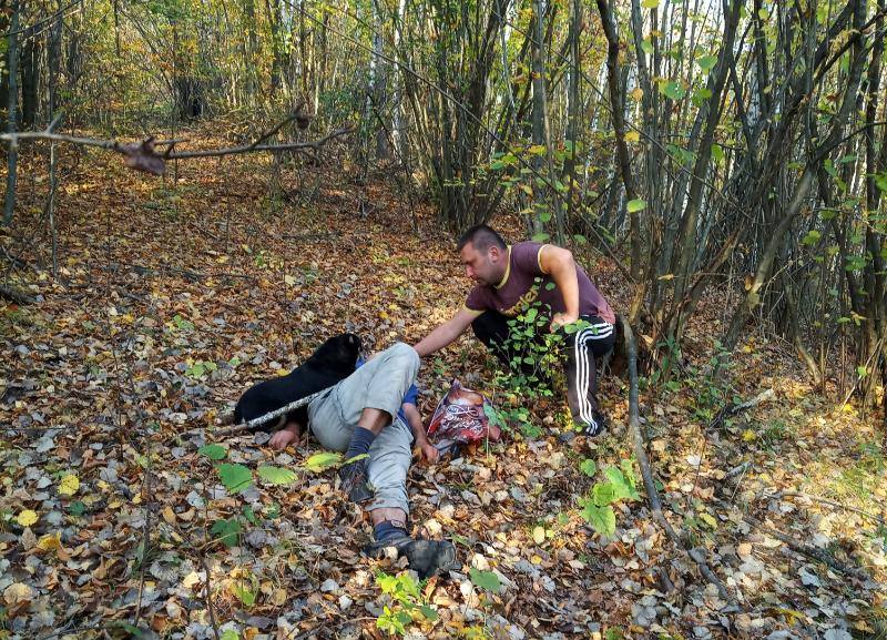 Настоящий друг: на Закарпатье пес спас жизнь мужчине