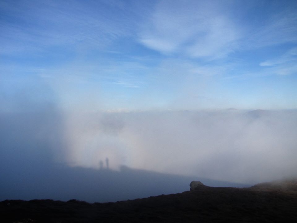 В Карпатах в об'єктив камери попався &quot;гірський привид&quot;: вражаюче фото