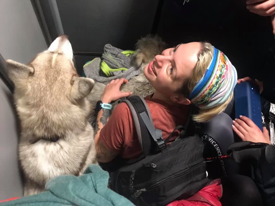 Лютий треш і угар від Укрзалізниці: перевізник потрапив у черговий скандал (відео)