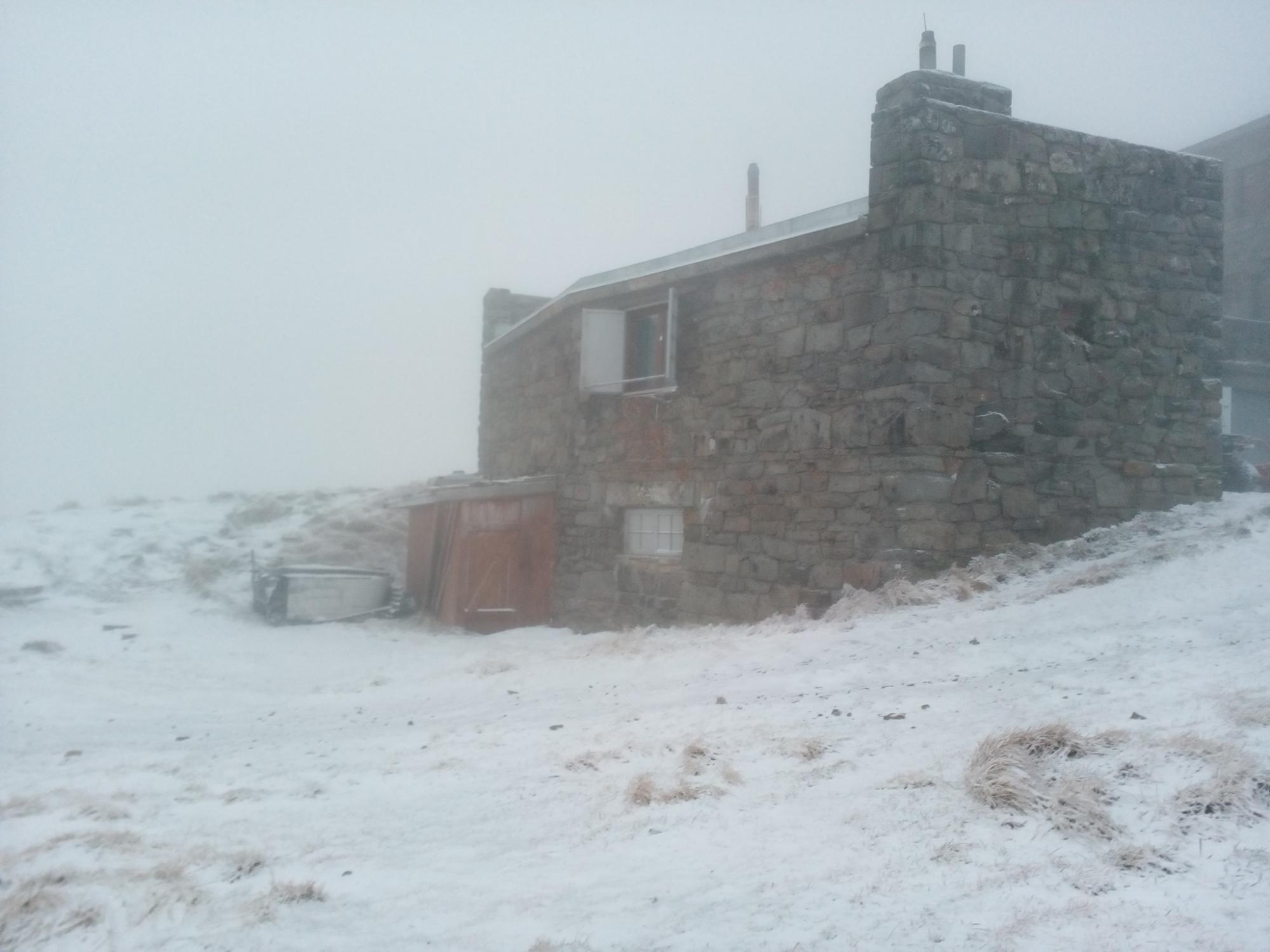 Снег в Карпатах восхитил сеть: живописное фото
