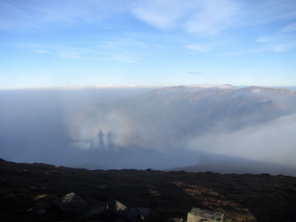 В Карпатах в об'єктив камери попався &quot;гірський привид&quot;: вражаюче фото