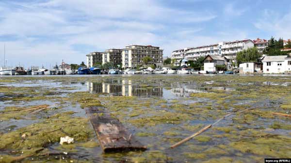 В сети показали, до чего оккупанты довели Крым: грязь, вонь и покрышки в море