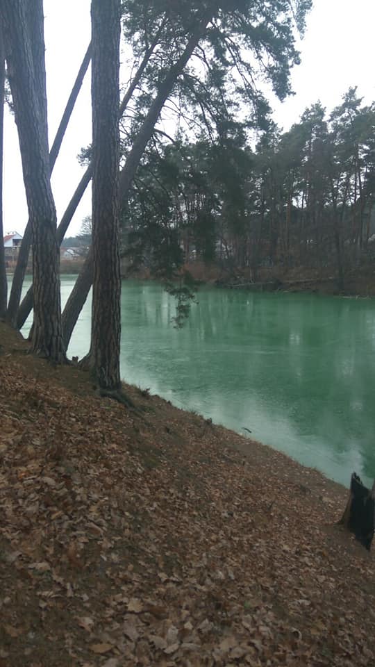 Эко-катастрофа? Под Киевом вода в озере резко поменяла цвет