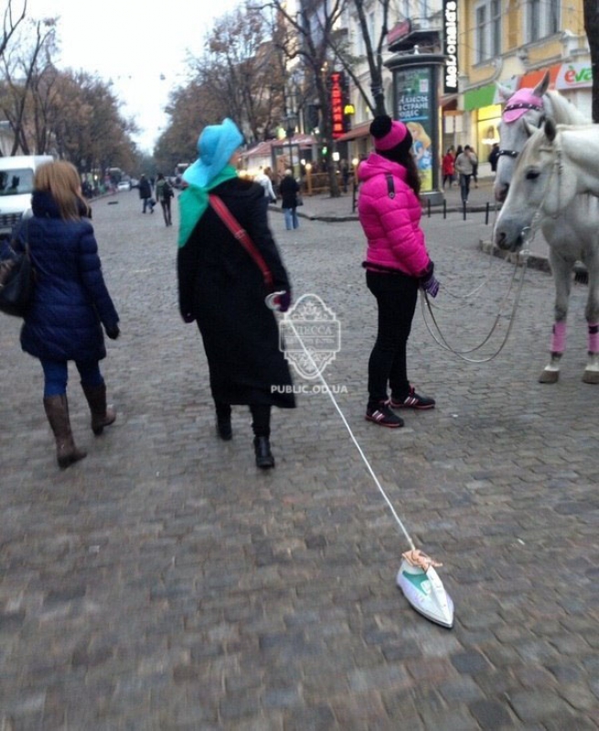\"Бедное животное\": одесситы выгуливают утюги по главной улице города