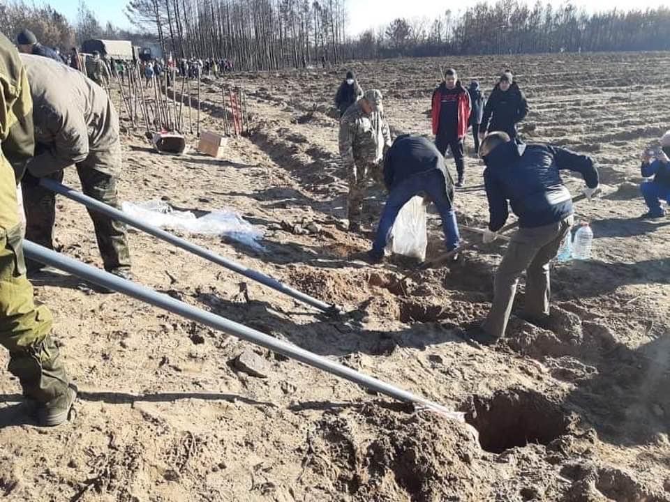 В Луганской области на месте пожаров волонтеры высадили более 10 тысяч деревьев