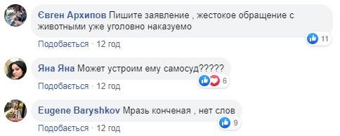 На очах у дітей: шкуродер жорстоко розправився з котом у Миколаєві (відео)