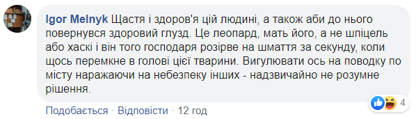 В центре Киева снова заметили леопарда: хищника сняли на видео