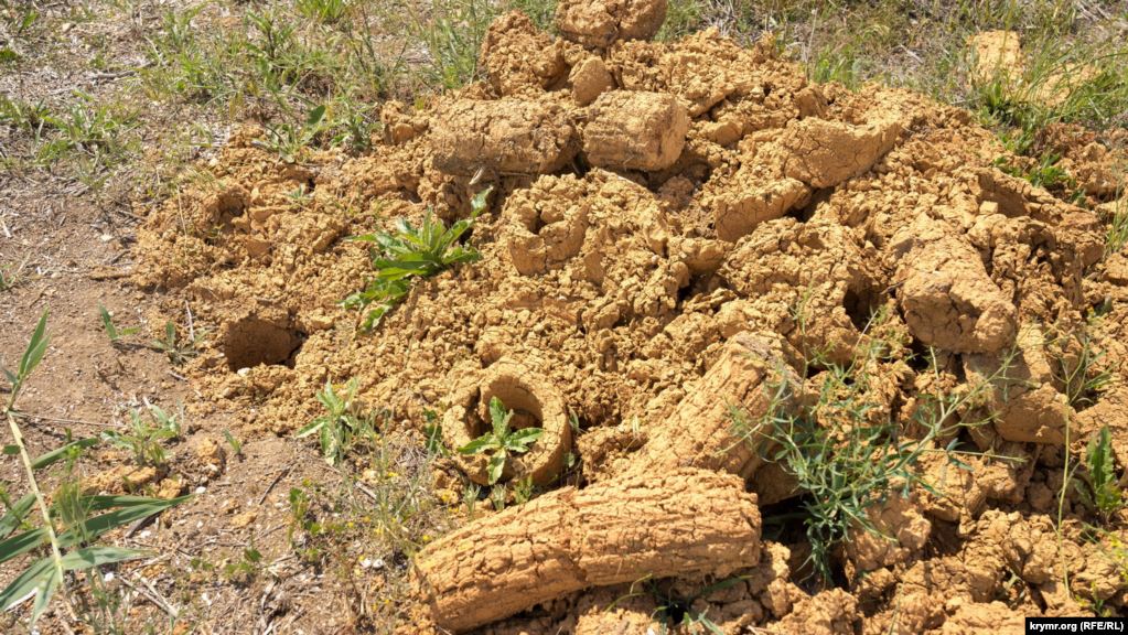 Колись була вода: з'явилися моторошні фото екологічної катастрофи в Криму