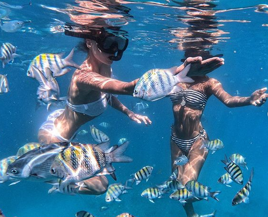 "Фантастично": екс-"ВІА Гра" в бікіні показала екзотичний підводний світ