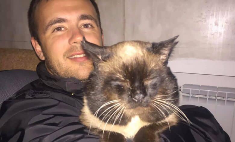 Мама, я утром буду: родные 34-летнего стюарда МАУ предчувствовали беду