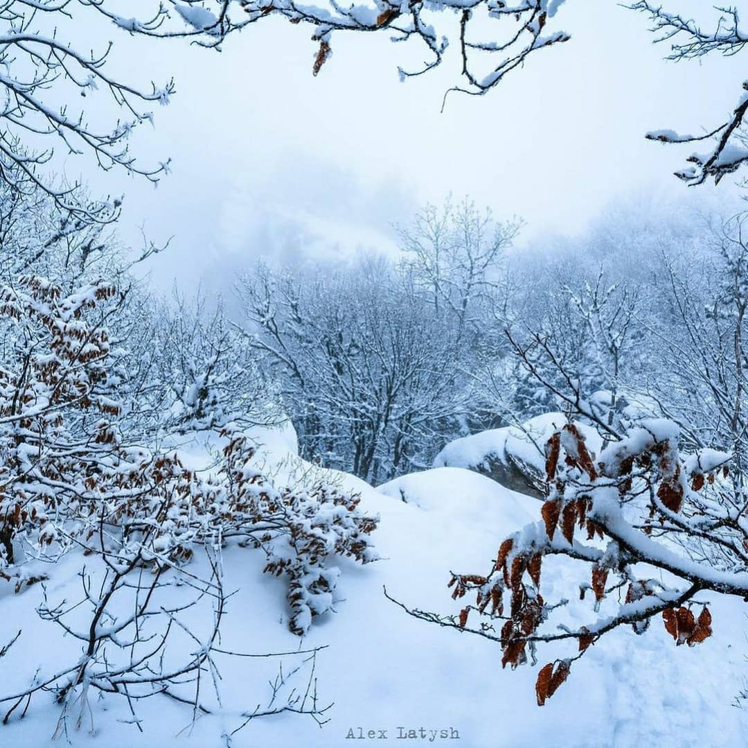 В Крим прийшла справжня зима: від краси перехоплює подих (фото, відео)