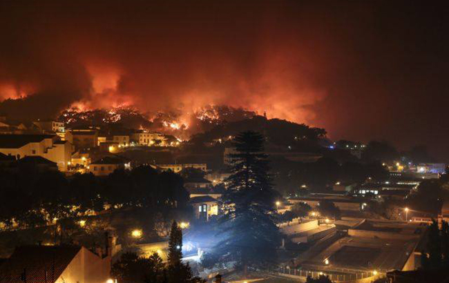 В Португалии произошел пожар в курортном регионе, пострадали 44 человека