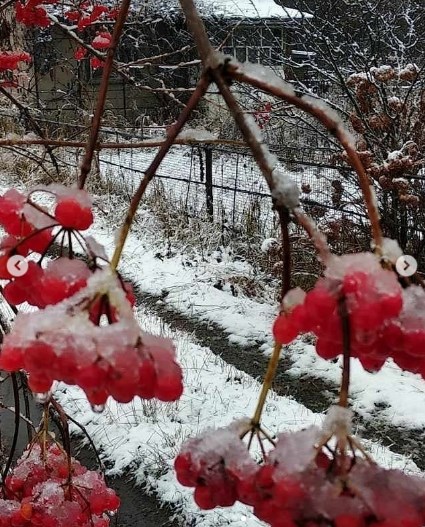 На Україну насувається снігопад: ці міста засипле вже сьогодні