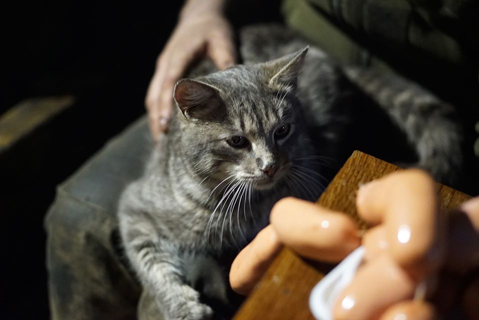 Украинские бойцы рассказали о своем пушистом "талисмане": проникновенная история дружбы