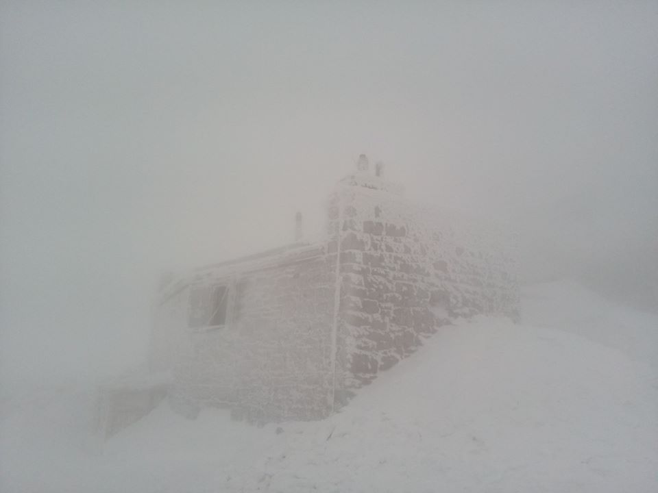 Карпаты завалило снегом: зима наконец-то наступила (фото)