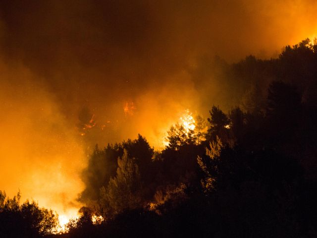 пожежі в ізраїлі